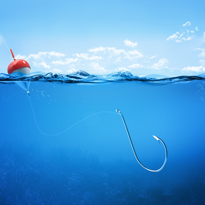A GUIDE TO USING A SEA FISHING FLOAT RIG? – sea fishing adventurer.